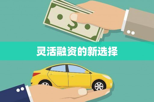 尖石灵活融资的新选择