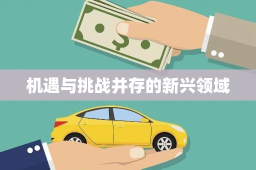 尖石机遇与挑战并存的新兴领域