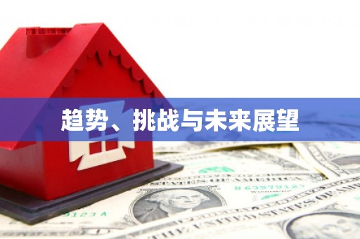 尖石趋势、挑战与未来展望