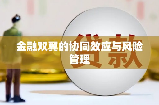 尖石金融双翼的协同效应与风险管理