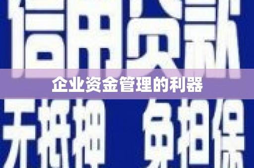尖石企业资金管理的利器