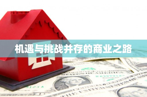 尖石机遇与挑战并存的商业之路