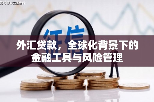 尖石外汇贷款，全球化背景下的金融工具与风险管理