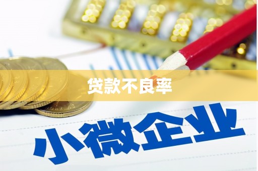 尖石贷款不良率