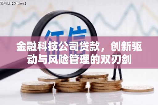 尖石金融科技公司贷款，创新驱动与风险管理的双刃剑